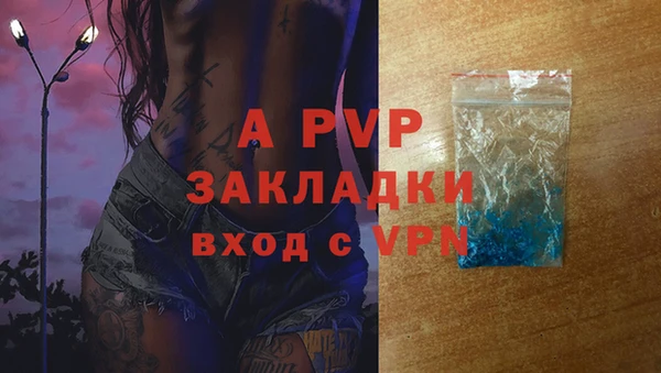 амф Арсеньев