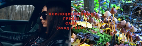 эйфоретик Армянск