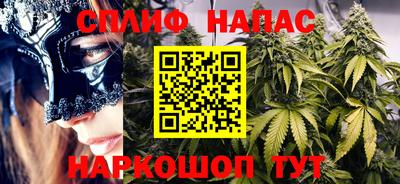 PSILOCYBIN Заводоуковск