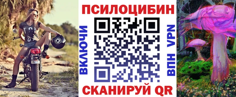 Псилоцибиновые грибы Psilocybe  Мурманск 